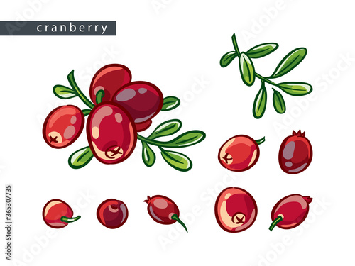 sketch_cranberry_set