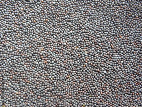 Dark black and brown color whole Mustard seeds © Maneesh