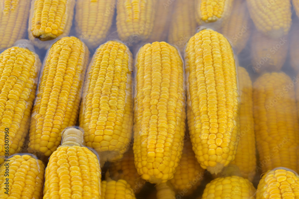Boiled corn in hot water - street food Boiled corn in hot water - street food