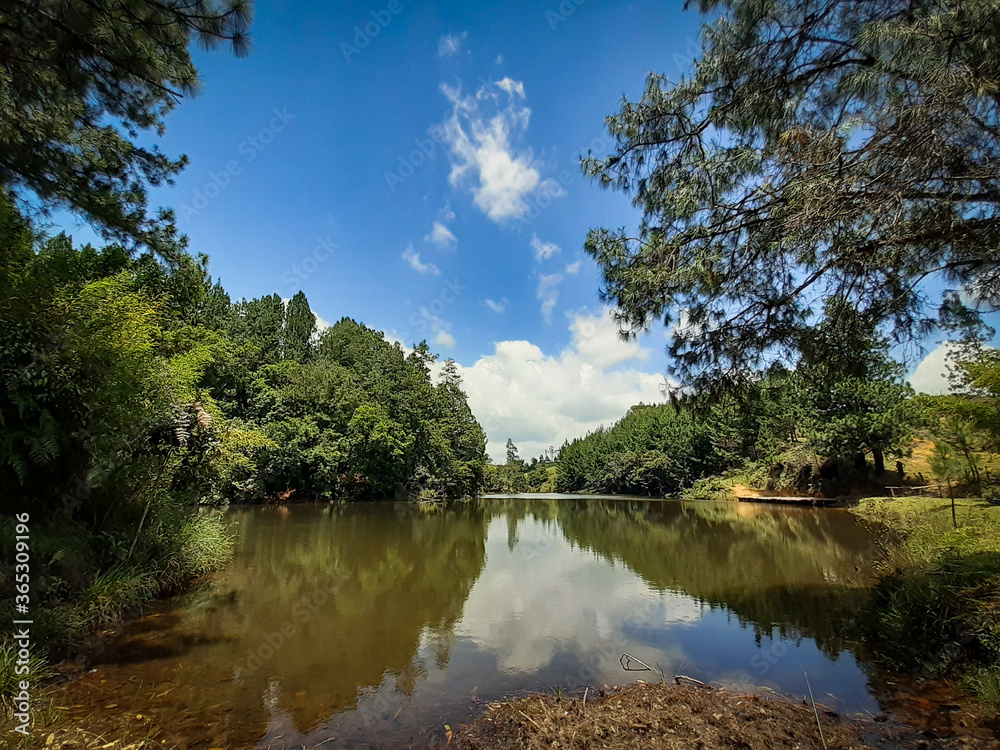 Fototapeta premium Lago