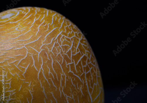 Yellow melon with a texture on a black background. Summer food. Yellow/