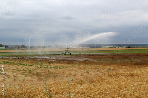 irrigation d'un champ 