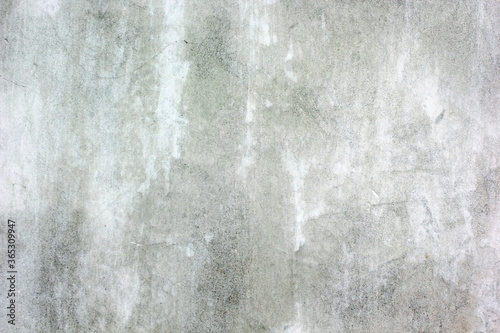 The background texture of the cement plaster is raw white and gray.