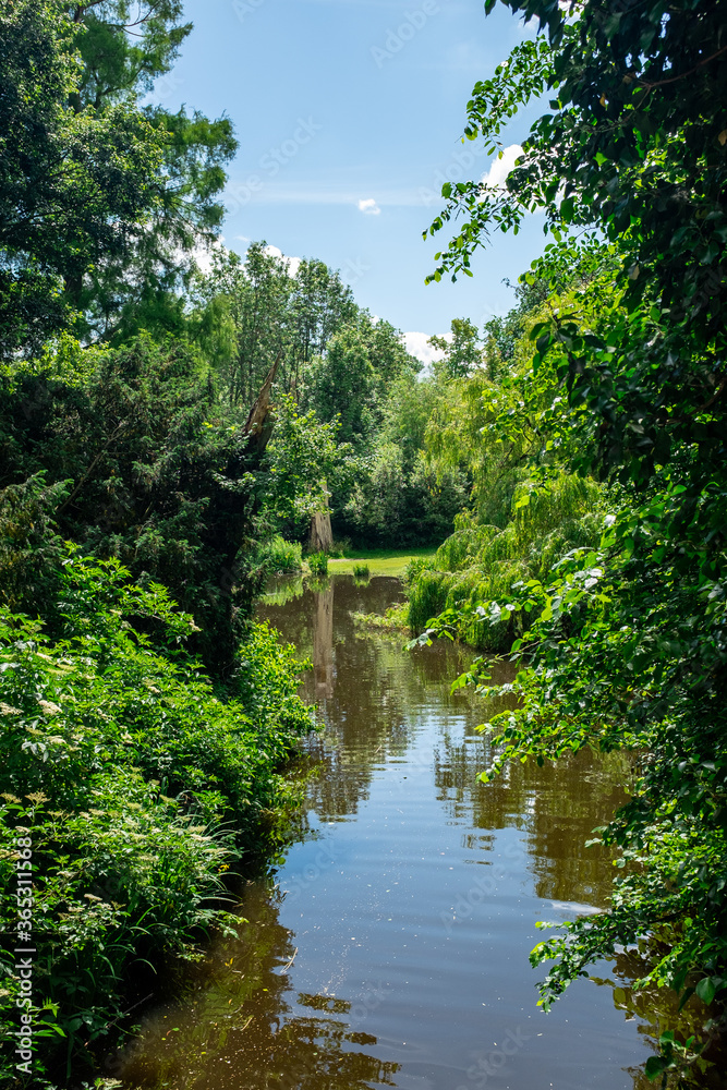 River in Vondelpark