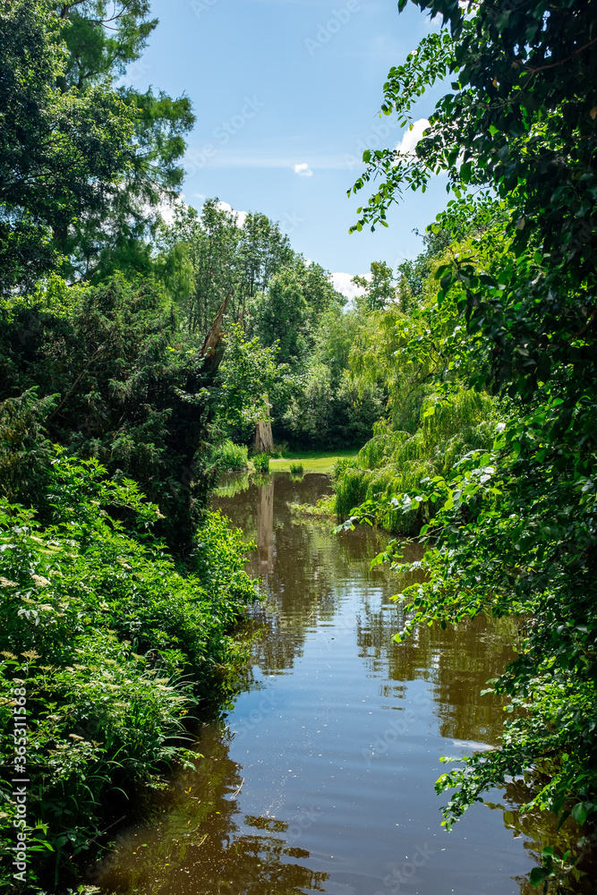 River in Vondelpark River in Vondelpark