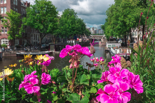 Wallpaper Mural Flowers in Amsterdam Torontodigital.ca