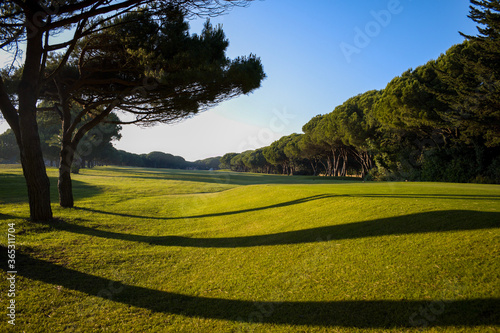 Fototapeta Naklejka Na Ścianę i Meble -  Golf Course in the sun