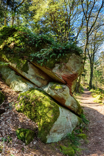 Large stones in the form of slabs covered with moss and ivy hanging over a forest path