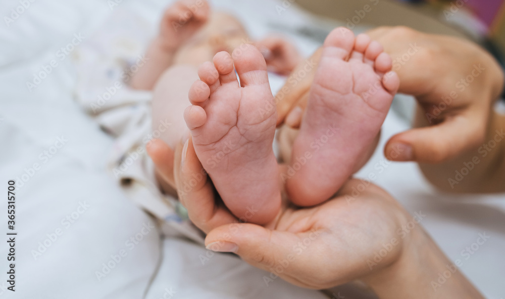 A loving, caring mother holds in her palm the legs of a small sleeping baby close-up. Woman's happiness. Photography, concept. A loving, caring mother holds in her palm the legs of a small sleeping baby close-up. Woman's happiness. Photography, concept.