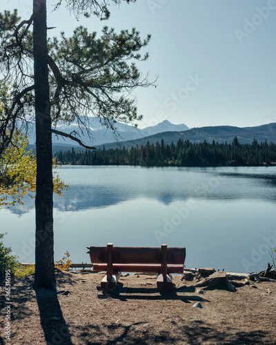 Wooden bench with sunlight and pine tree on lakeside