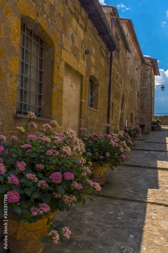 Flowers line the kerbside in the hill top settlement of Civita di Bagnoregio in Lazio, Italy in summer