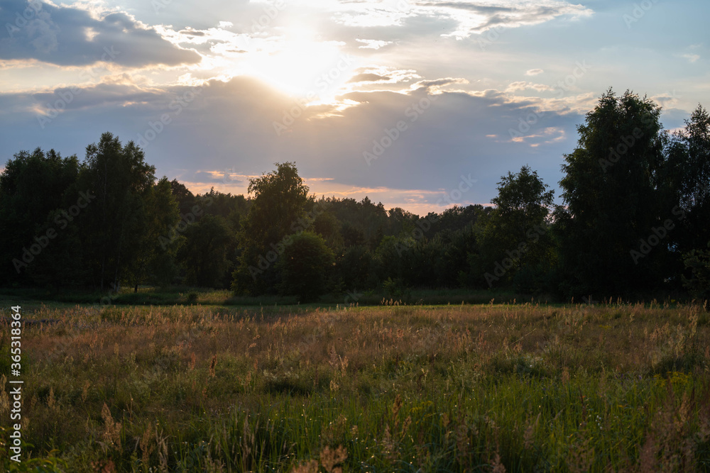 the sun was setting over the forest and meadow