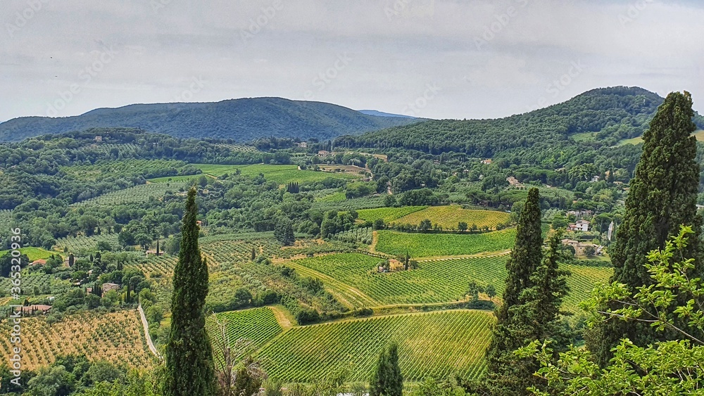 Landscape of Montepulciano surrounded by the vineyards and the Tuscan countryside, Italy.