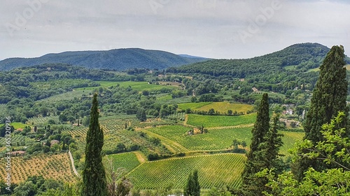 Landscape of Montepulciano surrounded by the vineyards and the Tuscan countryside  Italy.