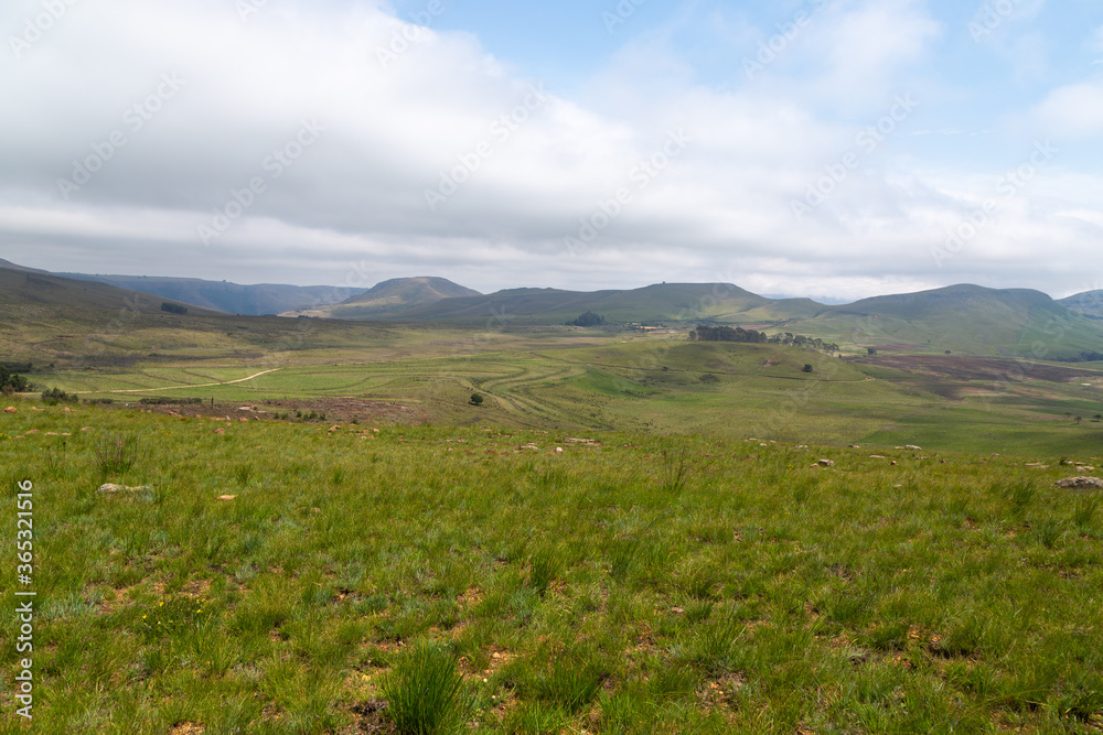 Landscape along the Long Tom Pass (R37), southeast of Lydenburg, Mpumalanga, South Africa