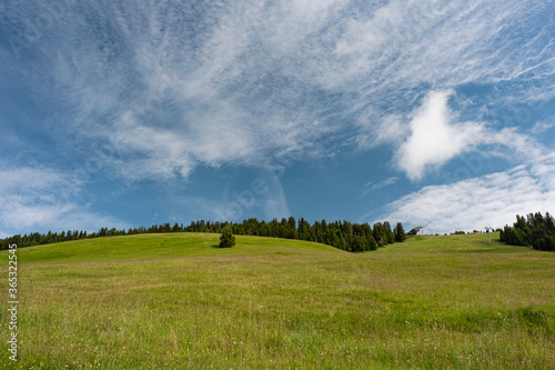 .View of green meadow with fir trees in Val Gardena
