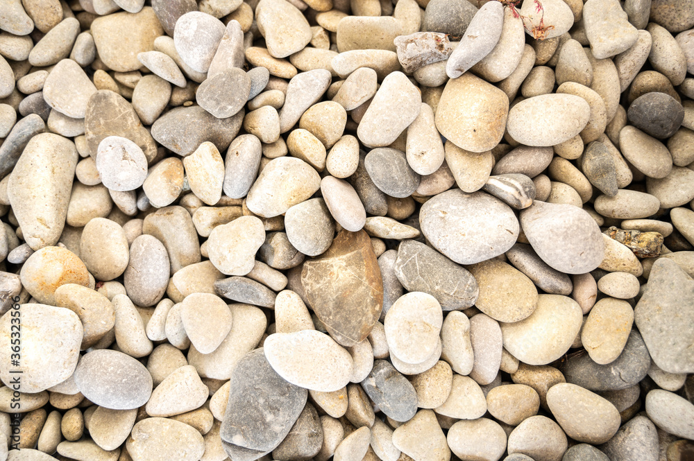 The photo shows a sunny beach. Gray stone (pebble) of different sizes, rounded shapes, different colors and shades. Background for the desktop, for notes, inscriptions, tests. The photo shows a sunny beach. Gray stone (pebble) of different sizes, rounded shapes, different colors and shades. Background for the desktop, for notes, inscriptions, tests.