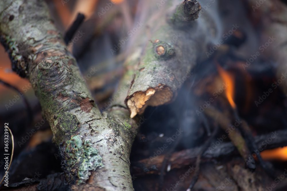 Closeup on a fireplace in the woods with soft focus Closeup on a fireplace in the woods with soft focus