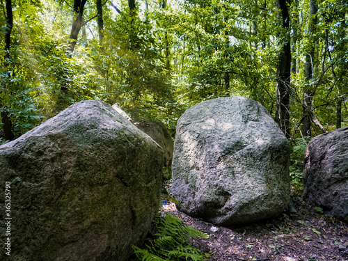 Große Steine im Wald mit einfallendem Licht