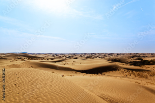 Fototapeta Naklejka Na Ścianę i Meble -  Sand dunes in the Gobi Desert in Inner Mongolia, China. sandy desert with blue sky and apparent sun, few clouds, extraordinary travel scene, hostile and inhospitable places to live