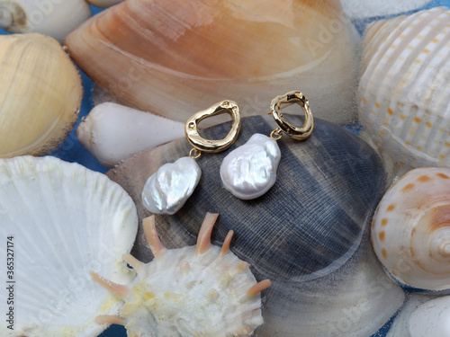 Cuadro en lienzo Pair of baroque pearl gold earrings on marine shell background