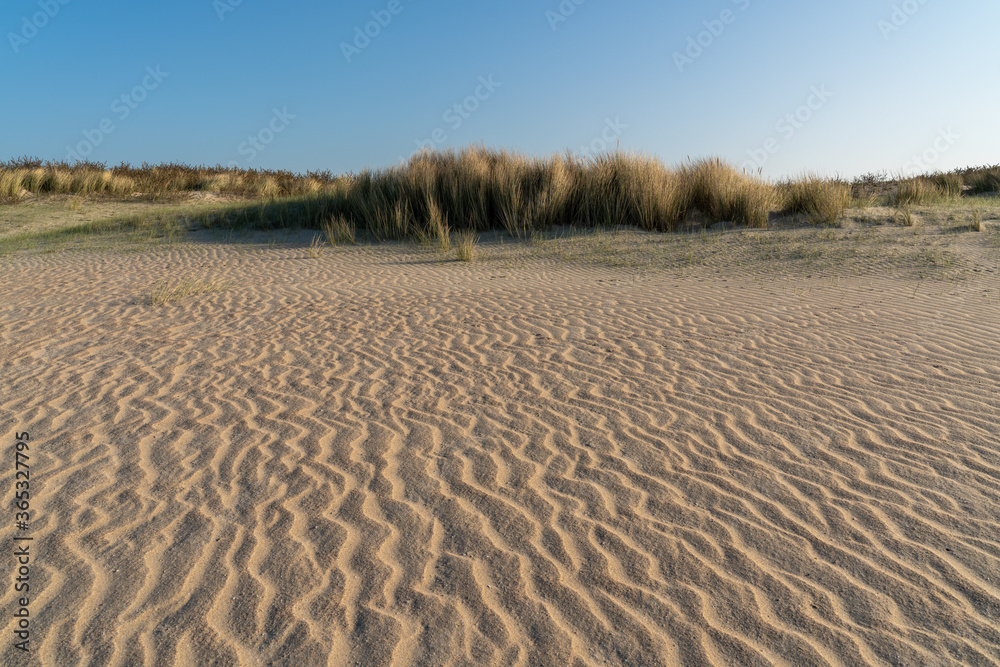 Burgh-Haamstede, Netherlands - april 2020 Burgh-Haamstede, Netherlands - april 2020