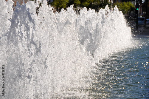 Water source - Fuente de agua