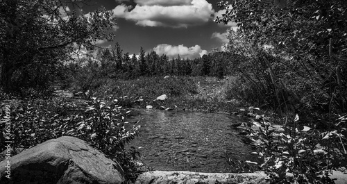 Rocky Mountain Stream in Big Sky Country Montana in the Highwood Mountains