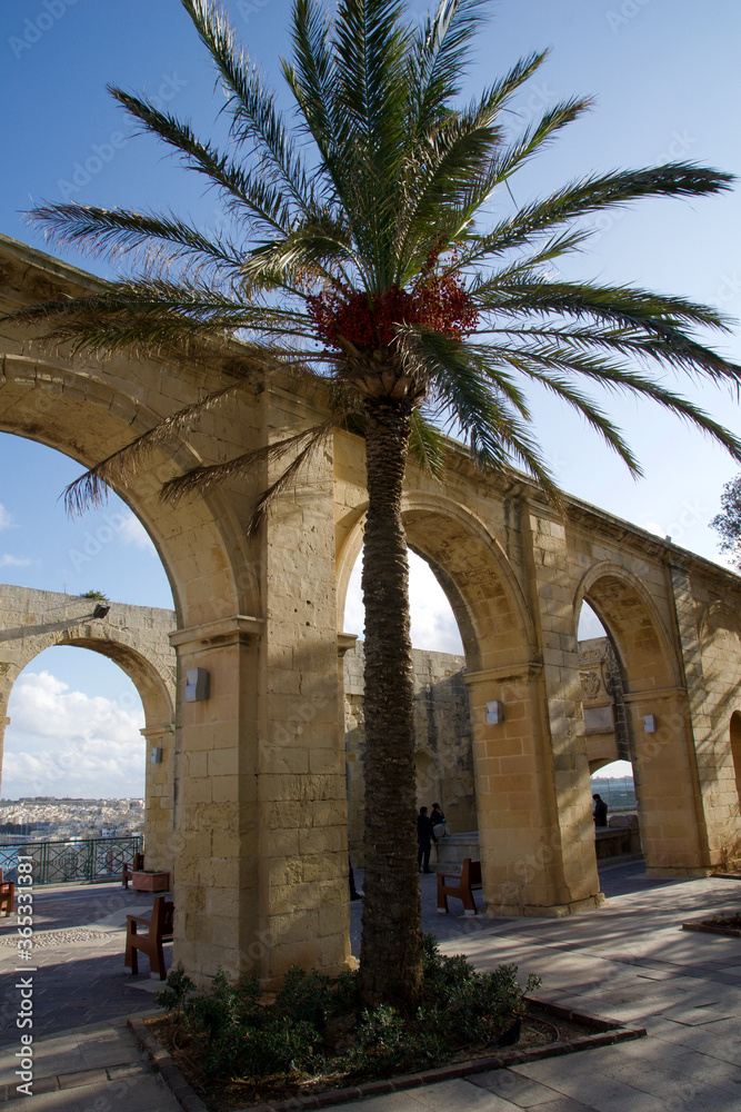 Obraz premium VALLETTA, MALTA - DEC 31st, 2019: Arches of the Upper Barrakka Gardens in Valletta with palm tree