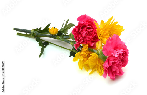 Pink Carnations and yellow daisy flowers on white