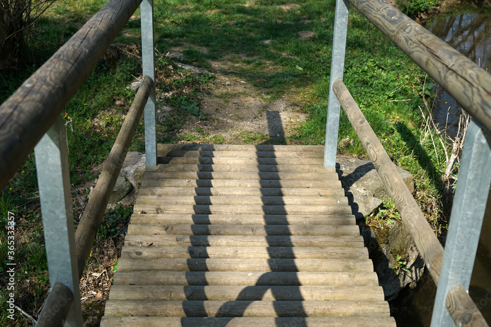 Fototapeta premium Wooden bridge in the forest