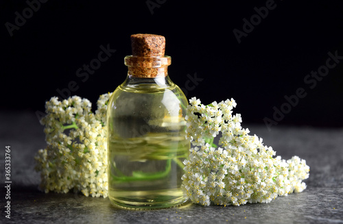 yarrow fresh herb natural bio oil
