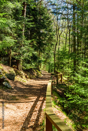 Walking path in the mountains fenced with wooden handrails