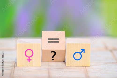 Wooden cubes with feminism and masculism symbols, question mark and equal sign. Gender, sexual equality. Human rights. photo