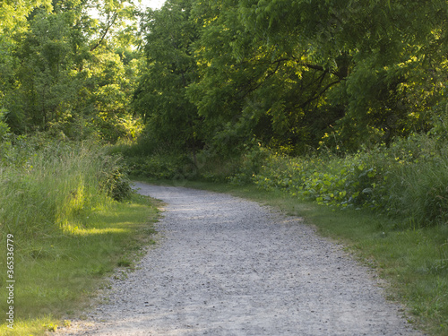 Park openings - photo of biking path / trail in Ontario, Canada