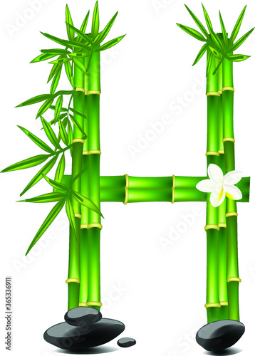 Letter H made of bamboo tree