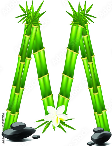 Letter M made of bamboo tree
