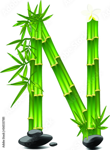 Letter N made of bamboo tree