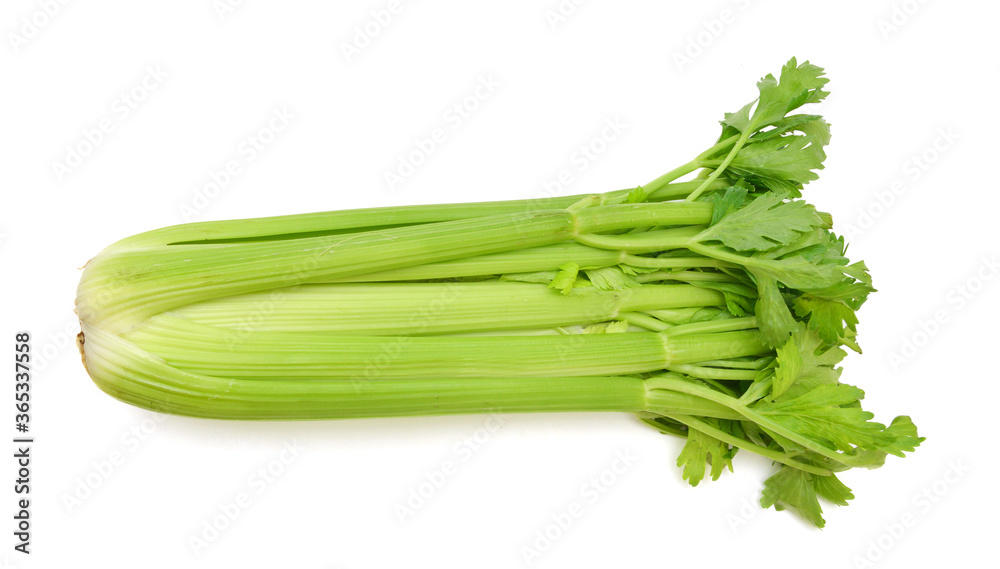 fresh celery on white fresh celery on white