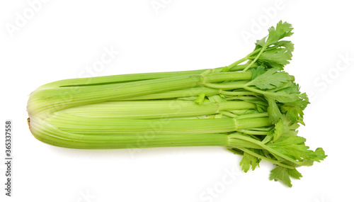fresh celery on white