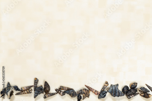Dark grey seashell and smooth sea stones on light yellow surface. Copy space. Space for text. Abstract light yellow background.
