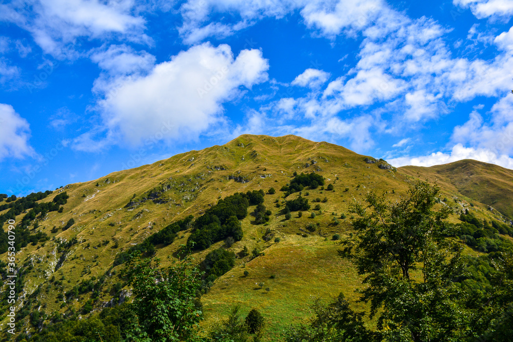 Mount Skutnik in the Kanin mountains Stock Photo Adobe Stock