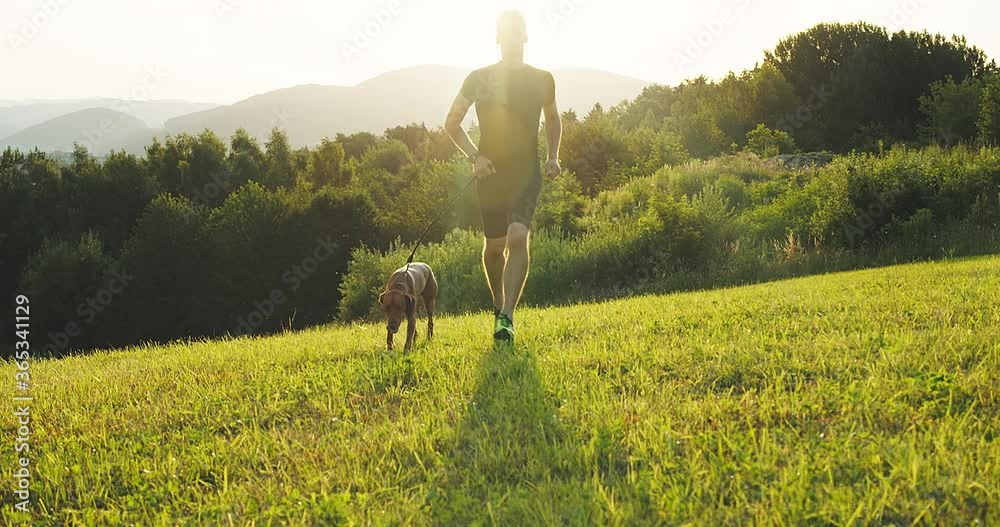 Silhouettes of runner and dog on field under golden sunset sky in evening time. Outdoor running. Athletic young man with his dog are running in nature. 4K video