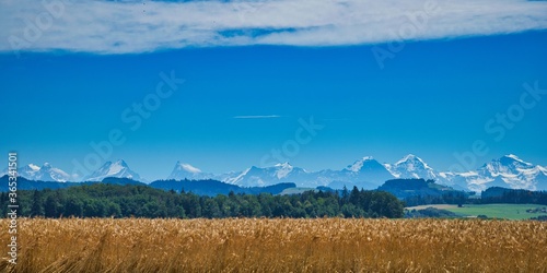 close-up view of dirty medical mask on ground outdoors