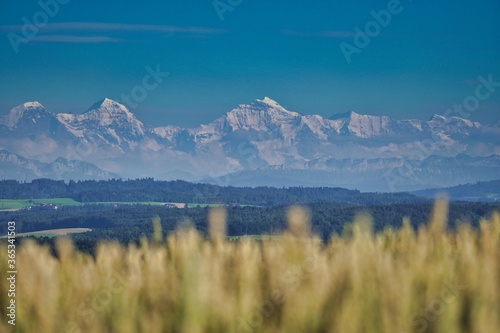 close-up view of dirty medical mask on ground outdoors
