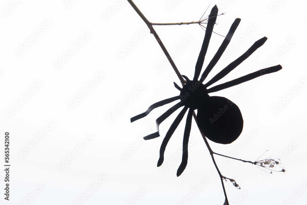 Black paper silhouette of a spider hanging on a brunch on a white background. Homemande Halloween decoration, DIY. Trendy Halloween minimal card or poster Black paper silhouette of a spider hanging on a brunch on a white background. Homemande Halloween decoration, DIY. Trendy Halloween minimal card or poster