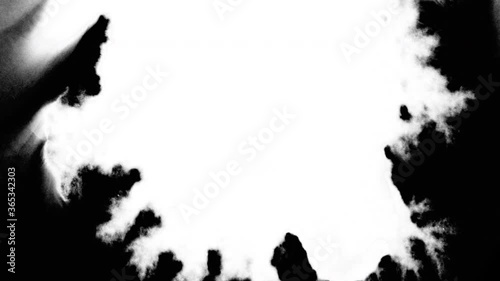 Set of 5 video transitions of wite expanding paint bleeds on black backdrop. Can be used as a graphic element, a luma matte to reveal images or transition between clips.