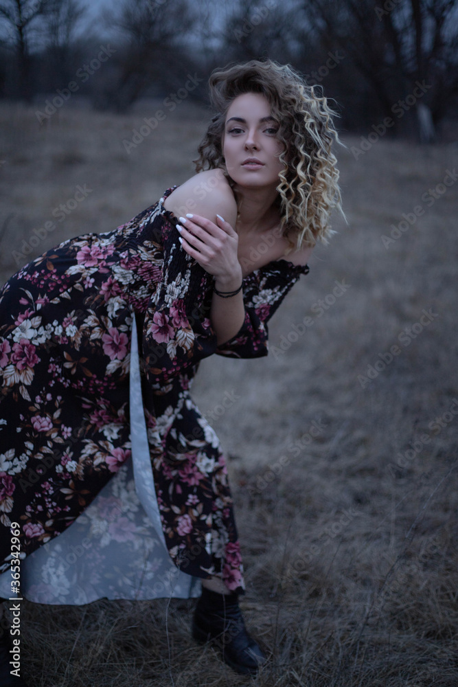 Fototapeta premium Young beautiful girl in a dark dress against the background of the field, curly hair