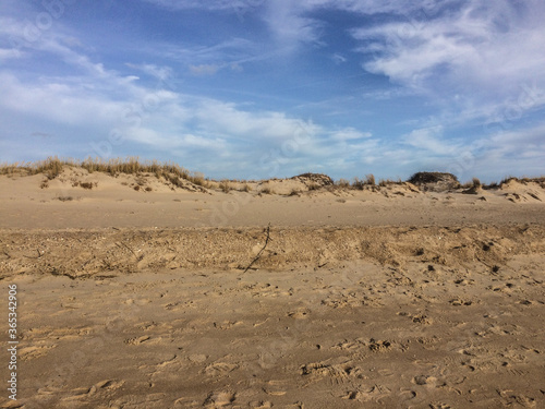 Wavy white clouds and blue sky form over dunes and sandy beach at Cape Henlopen State Park, Lewes, Delaware