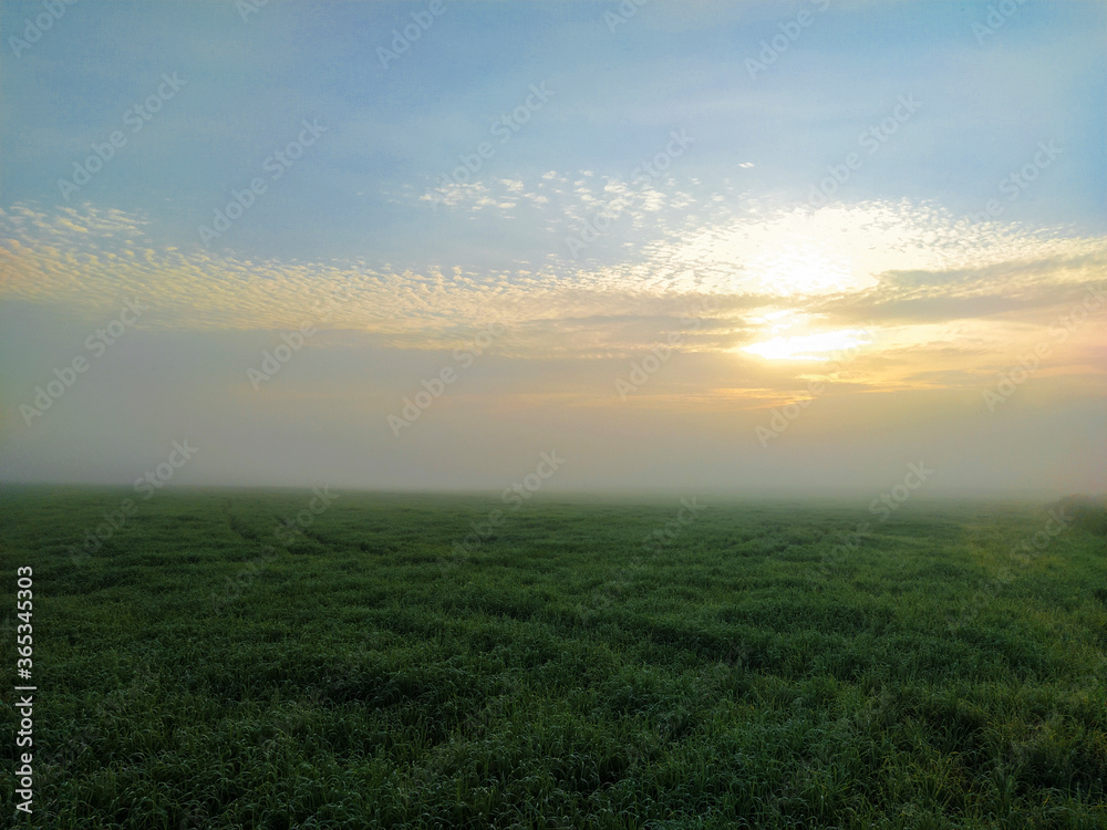 landscape with a summer field at sunset landscape with a summer field at sunset